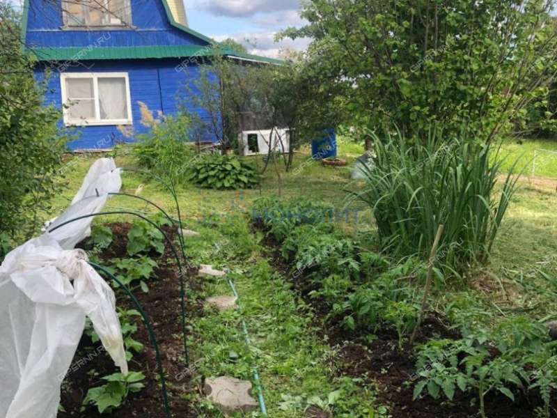 дача на Станция Горький-Сортировочный ДОЗ-1 тер. СНТ