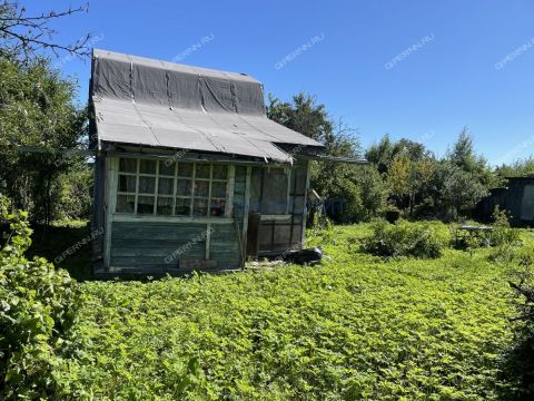 dacha-elochka-selo-linda-ter-snt-gorodskoy-okrug-bor фото