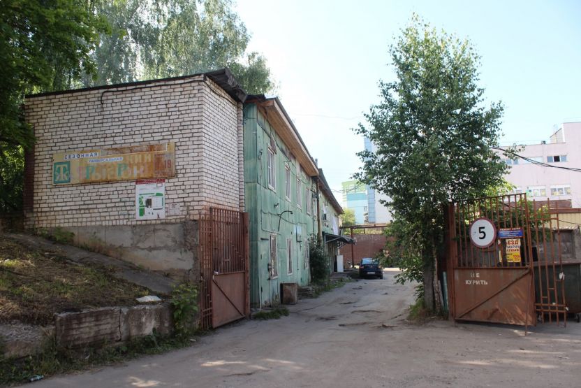 Фото: Ксения Ражева / gipernn.ru