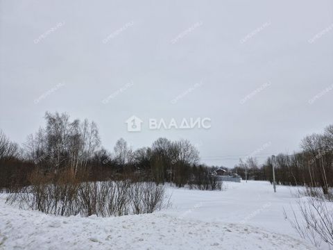 derevnya-bukino-bogorodskiy-municipalnyy-okrug фото