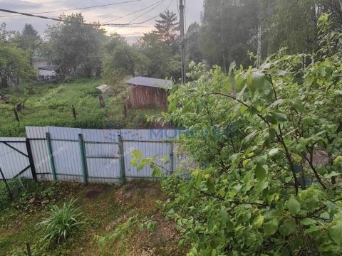 dacha фото