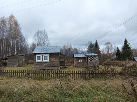 dom-derevnya-tokovikovo-gorodeckiy-rayon фото