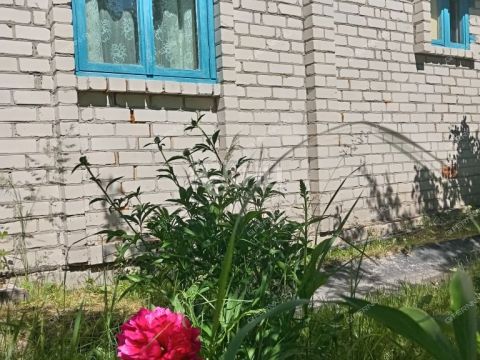 dacha-rabochiy-poselok-pervomayskiy-gorodeckiy-rayon фото