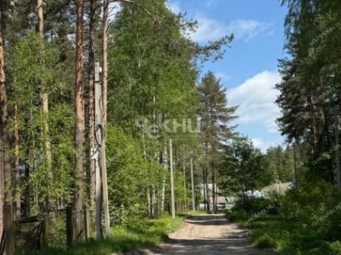 derevnya-lindo-usad-gorodskoy-okrug-bor фото