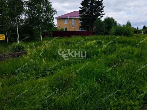 derevnya-burcevo-bogorodskiy-municipalnyy-okrug фото