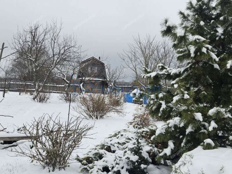 дом на улице 40 лет Победы деревня Пияичное