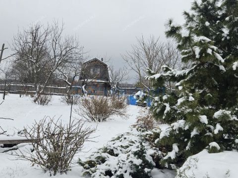 dom-derevnya-piyaichnoe-sosnovskiy-rayon фото