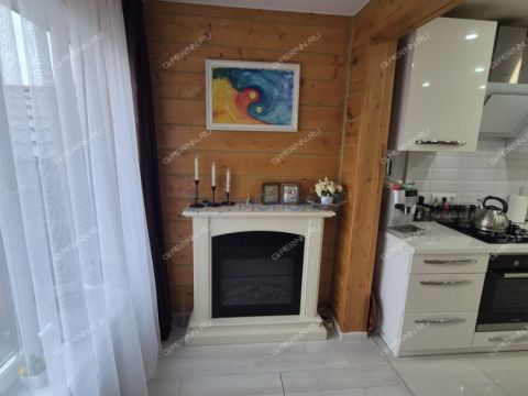 gorod-bogorodsk-bogorodskiy-municipalnyy-okrug фото