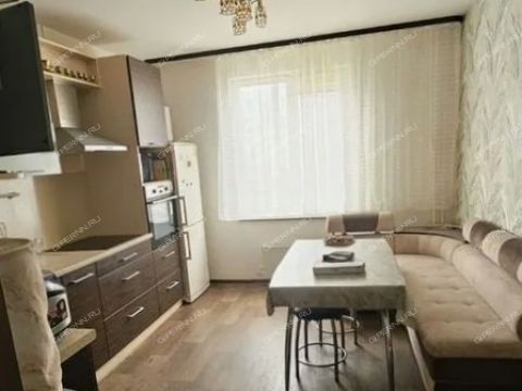 2-komnatnaya-ul-sputnika-d-32 фото