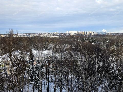 2-komnatnaya-sh-ankudinovskoe-d-11b фото