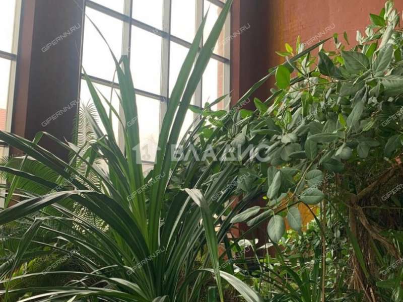 дом на Новой улице деревня Козловка, Ройкинский сельсовет