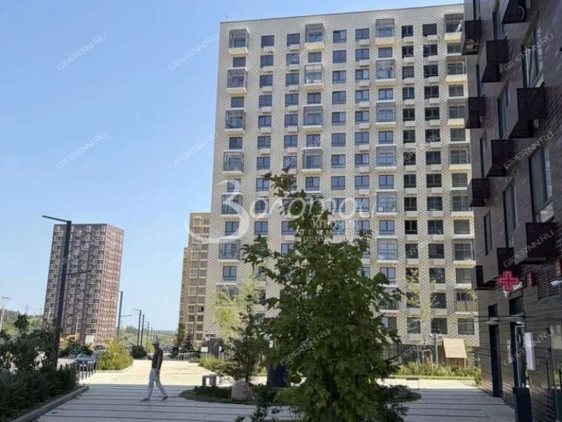 трёхкомнатная квартира на улице Небесная дом 1 деревня Утечино