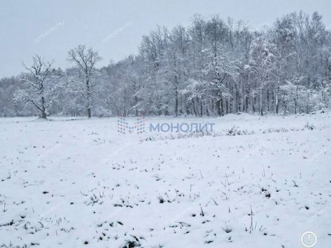 selo-elhovka-kstovskiy-rayon фото