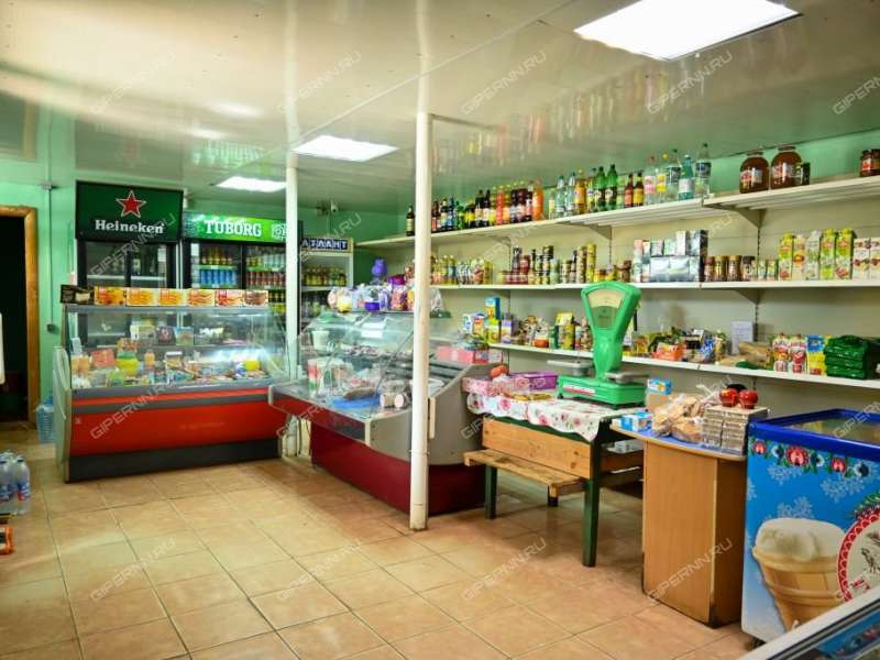 готовый бизнес комплекс в Богородском районе Нижегородской области