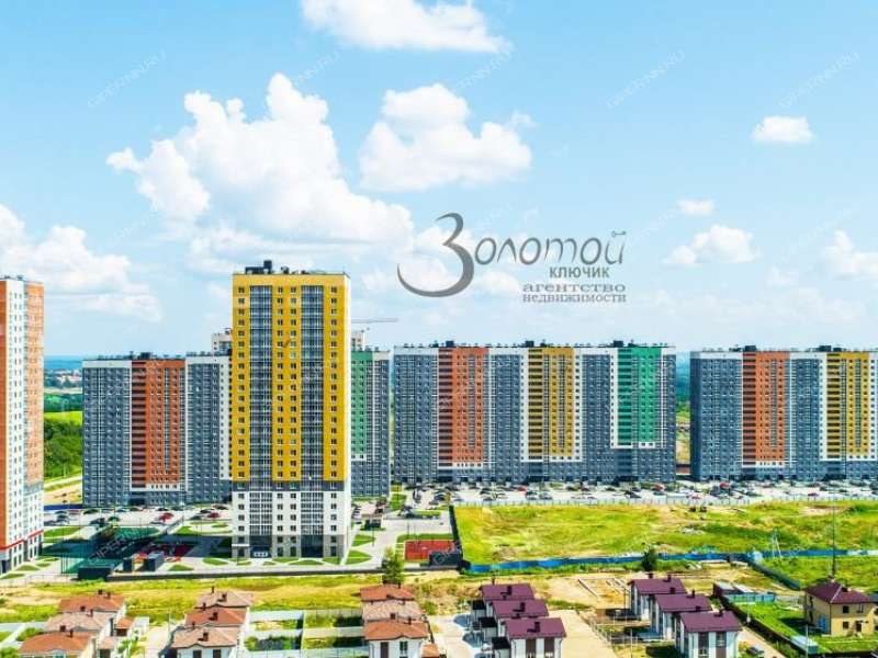 двухкомнатная квартира в новостройке на Русской улице улице деревня Анкудиновка