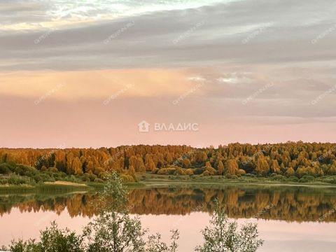 kottedzhnyy-poselok-novaya-muraviha-dalnekonstantinovskiy-rayon фото