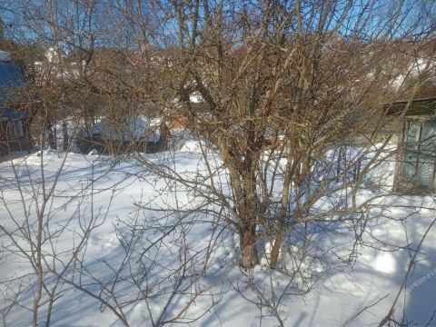 dacha-snt-druzhba-snt-druzhba фото