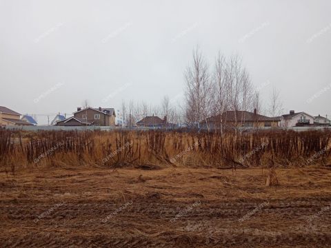 gorod-bogorodsk-bogorodskiy-municipalnyy-okrug фото