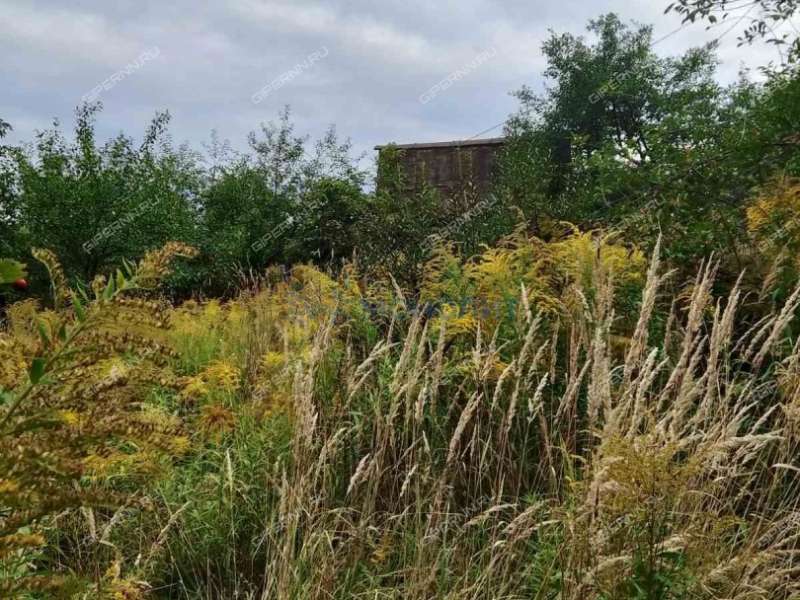 дача на 40 лет Октября тер. СНТ