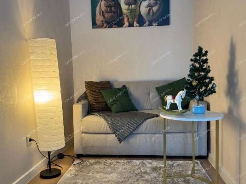 однокомнатная квартира на проспекте Ленина дом 30 к1