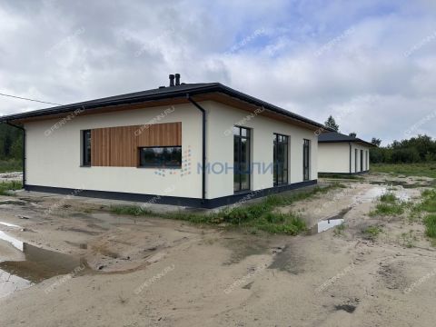 dom-derevnya-prudy-bogorodskiy-municipalnyy-okrug фото