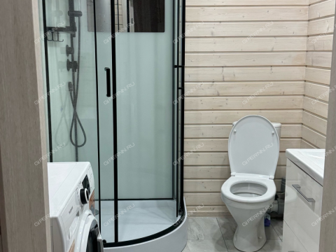 dom-ul-larina фото