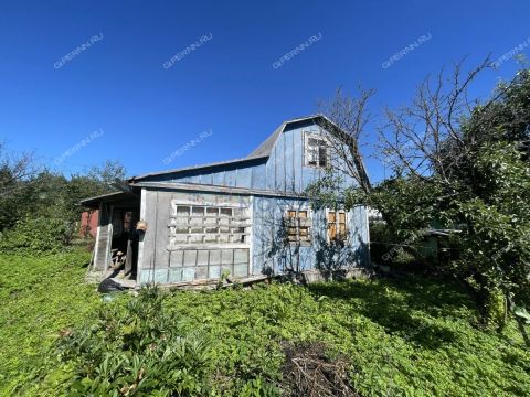dacha-elochka-selo-linda-ter-snt-gorodskoy-okrug-bor фото