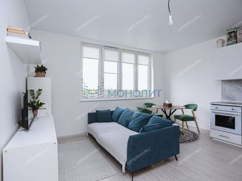 однокомнатная квартира на Черкесской улице дом 2 деревня Анкудиновка