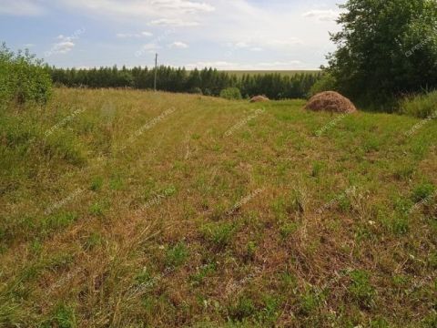 dom-derevnya-belyaniha-perevozskiy-gorodskoy-okrug фото