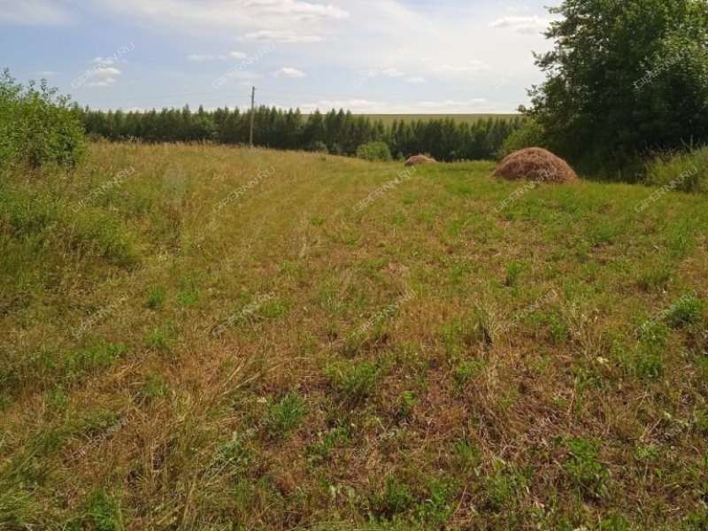 дом на улице Завраг деревня Беляниха