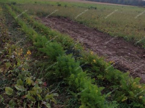 derevnya-tkalino-gorodeckiy-rayon фото