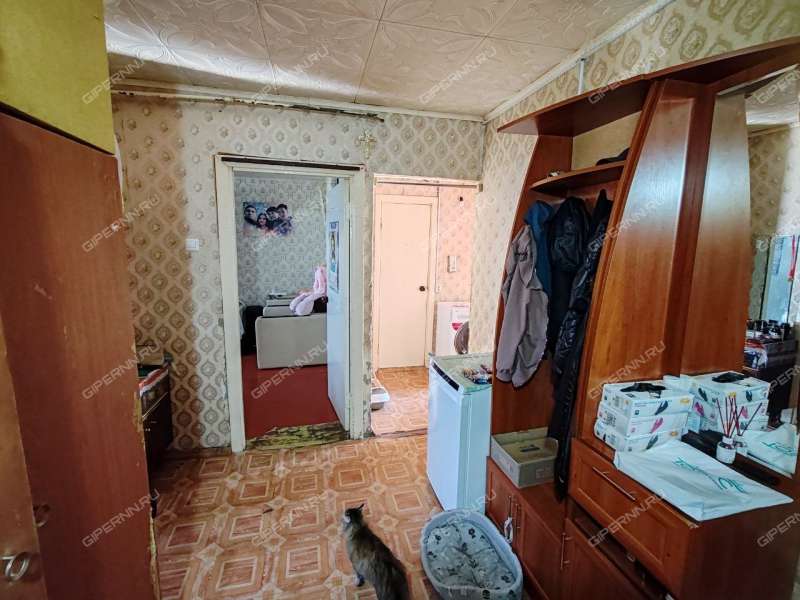 трёхкомнатная квартира на улице Молькова дом 38 деревня Прокошево