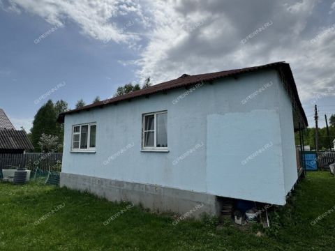dom-selo-yamnovo-yamnovskiy-selsovet-gorodskoy-okrug-bor фото