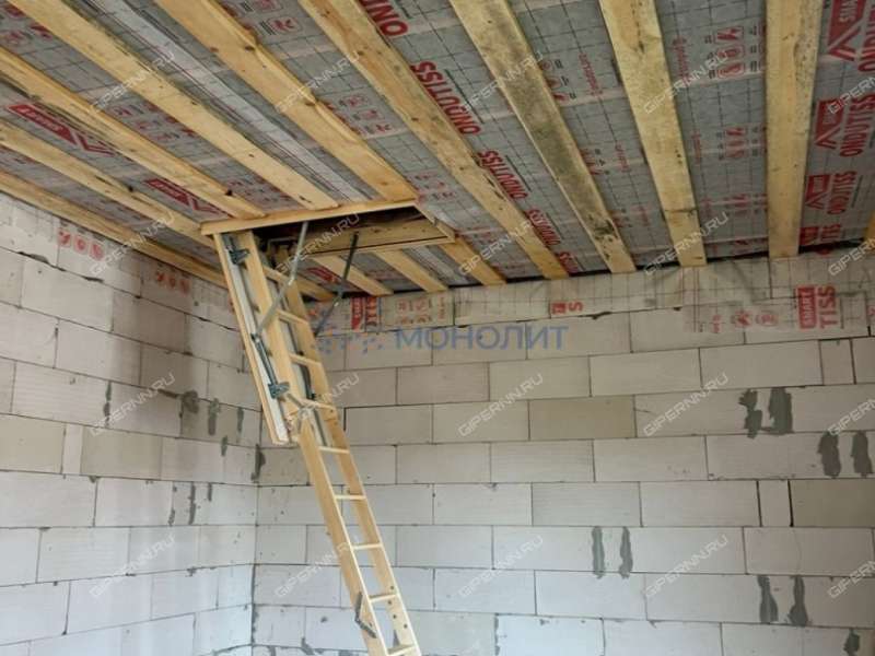 коттедж на улице Жидкова деревня Шумилово