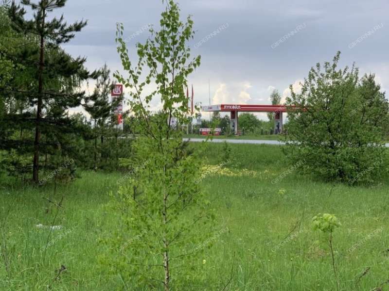 земельный участок 6 соток СНТ 4 ПАЗ село Большое Давыдово