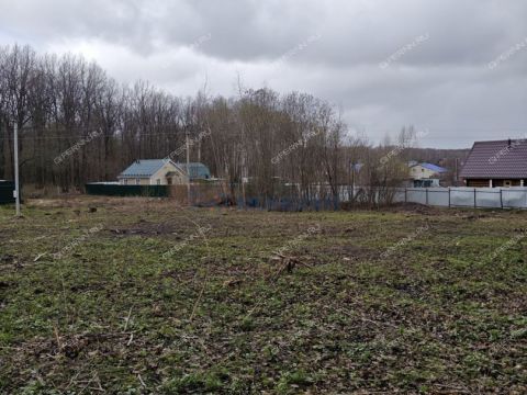 snt-stroitel-bogorodskiy-municipalnyy-okrug фото