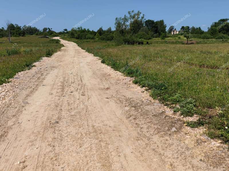 земельный участок 11,5 сотки Свободы, участок 15 деревня Инютино