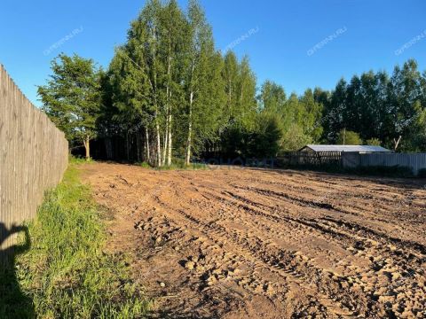 derevnya-maloe-bedrino-bogorodskiy-municipalnyy-okrug фото