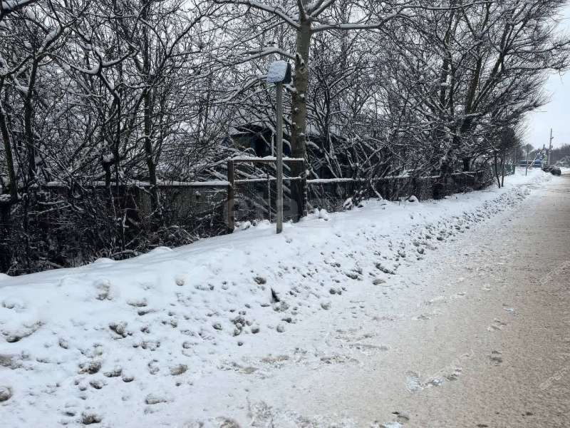 земельный участок 11,6 сотки Центральная деревня Шубино