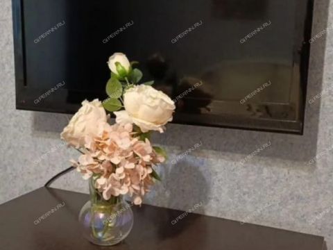 1-komnatnaya-ul-1-ya-oranzhereynaya-d-44 фото