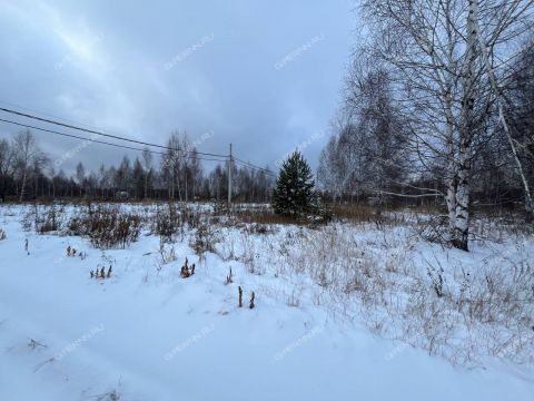 derevnya-kileley-bogorodskiy-municipalnyy-okrug фото