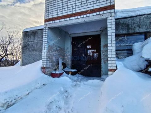 derevnya-medvedevo-semenovskiy-gorodskoy-okrug фото