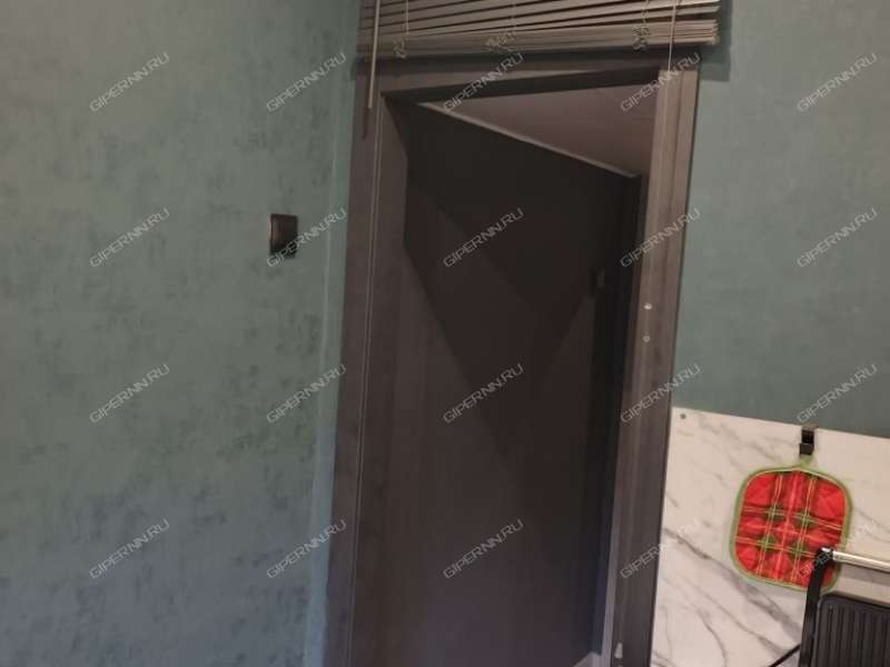 однокомнатная квартира на Нарвской улице дом 14