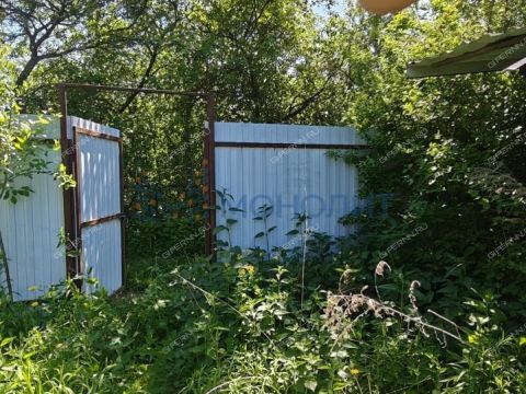 dacha-derevnya-zolotovo-gorodskoy-okrug-bor фото