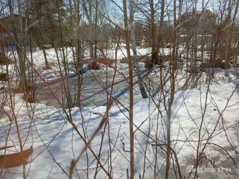 dacha-rabochiy-poselok-bolshoe-kozino-balahninskiy-municipalnyy-okrug фото