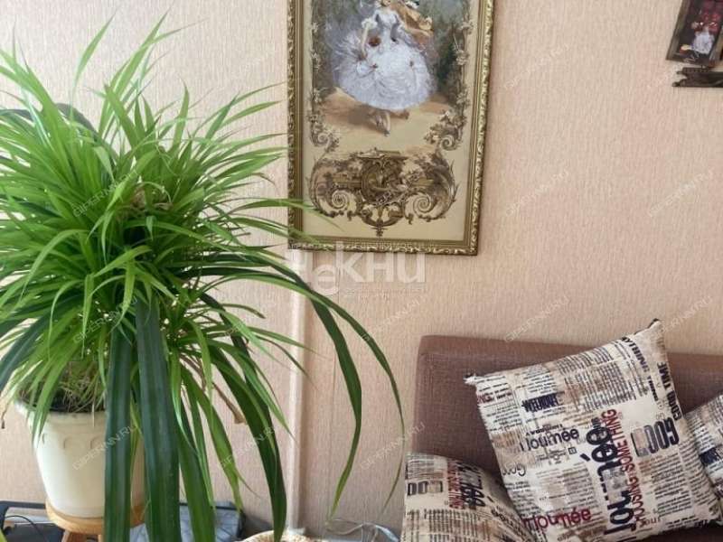 дом на Ново Луговая рабочий посёлок Большое Мурашкино