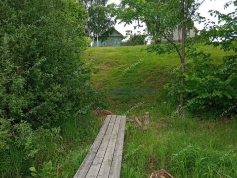 derevnya-piyaichnoe-sosnovskiy-rayon фото