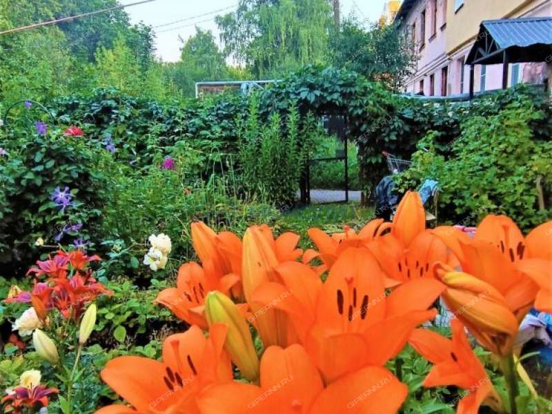 однокомнатная квартира на улице Радистов дом 7А