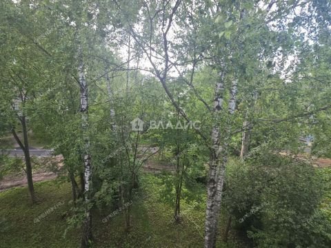 1-komnatnaya-ul-vyacheslava-shishkova-d-8-k2 фото
