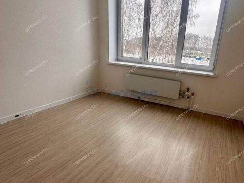 1-komnatnaya-kultura-sp-kstovskiy-rayon фото